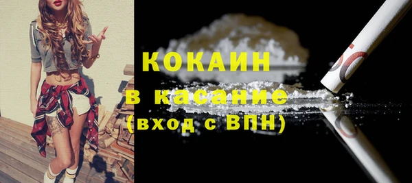 стаф Сосновка