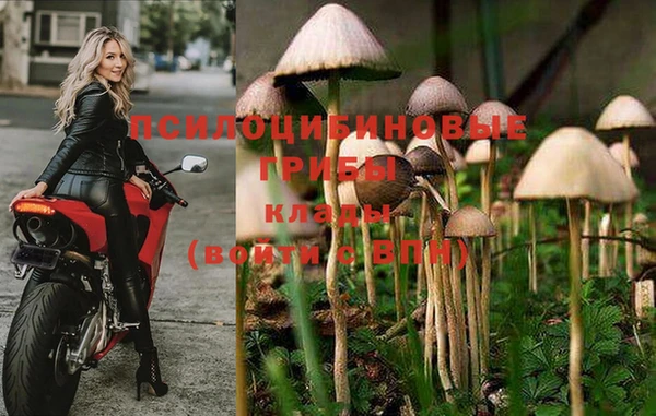 MESCALINE Белокуриха