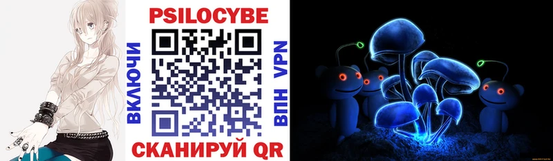 где купить   Волгореченск  Псилоцибиновые грибы Psilocybine cubensis 
